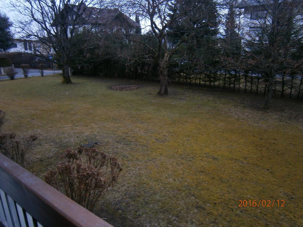 Ferienwohnung "Isidora" 菲拉赫 客房 照片